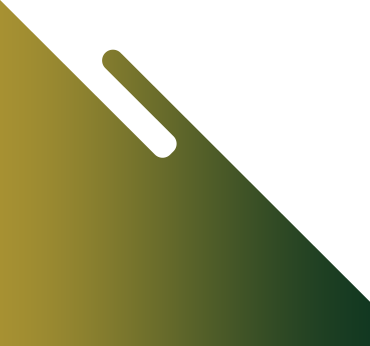 Lineas de Nazca Perú